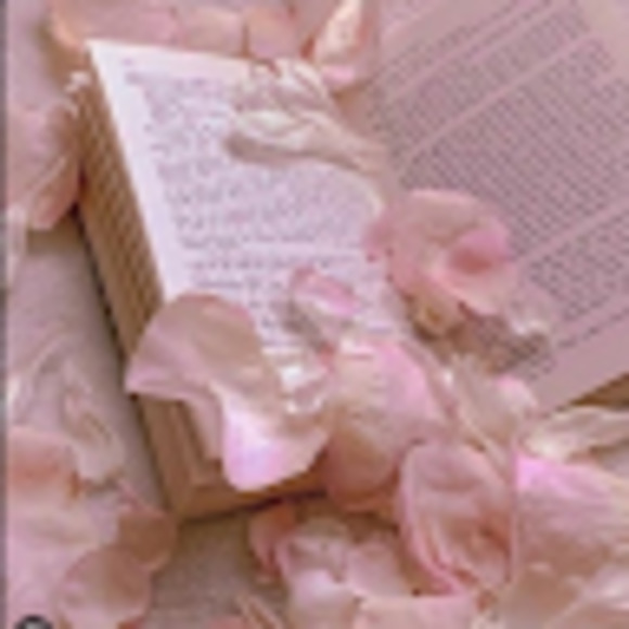 Meet your Posher, Kacie - Picture 1 of 1